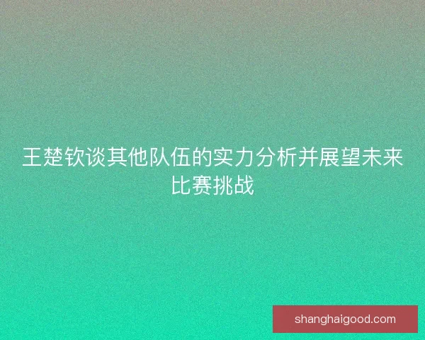 王楚钦谈其他队伍的实力分析并展望未来比赛挑战