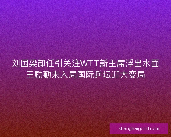 刘国梁卸任引关注WTT新主席浮出水面王励勤未入局国际乒坛迎大变局