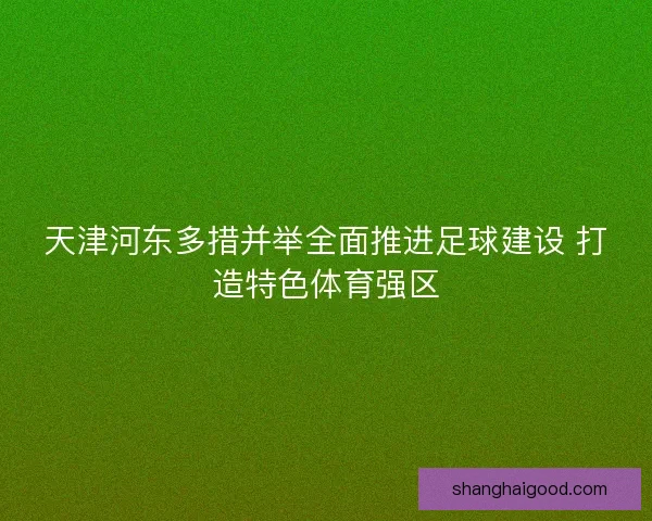 天津河东多措并举全面推进足球建设 打造特色体育强区 天津河东多措并举全面推进足球建设 打造特色体育强区