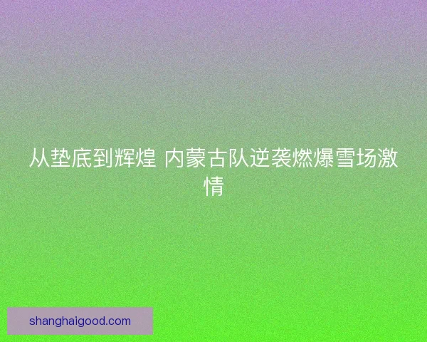 从垫底到辉煌 内蒙古队逆袭燃爆雪场激情 从垫底到辉煌 内蒙古队逆袭燃爆雪场激情